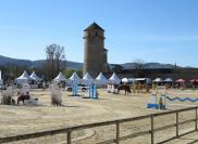 Piste en sable